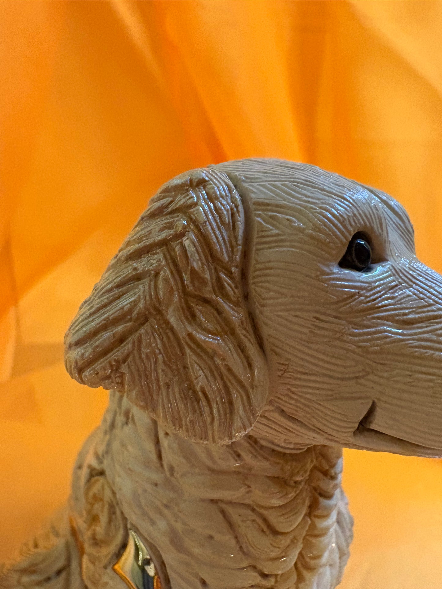 Labrador De Rosa Rinconada