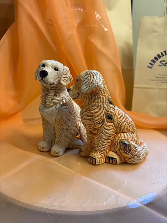 Labrador De Rosa Rinconada